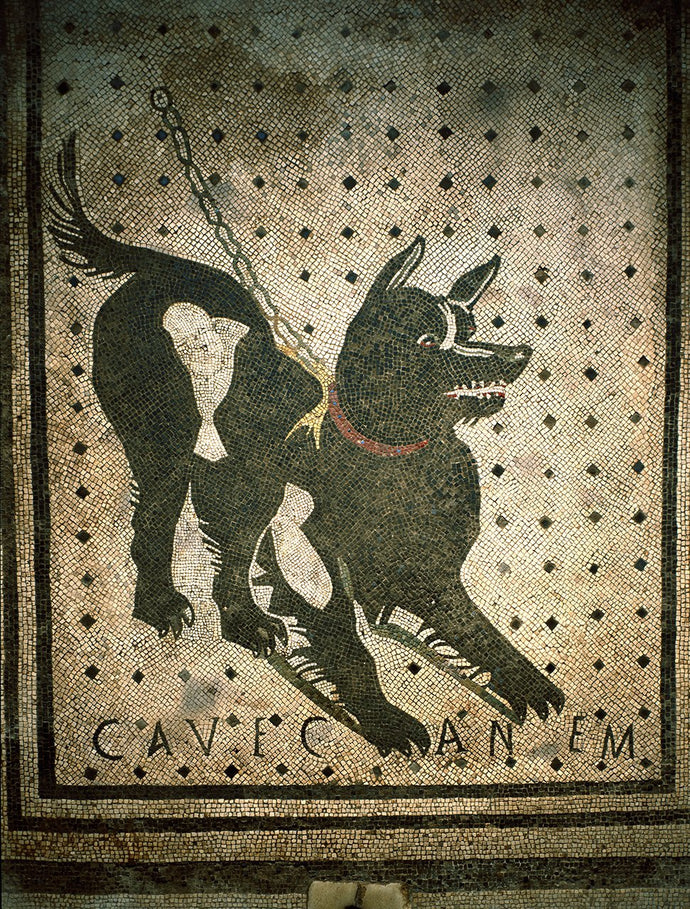 Cave Canem (Vorsicht vor dem Hund) Mosaik 66 x 66 cm - 1. Jahrhundert v. aus Pompeji