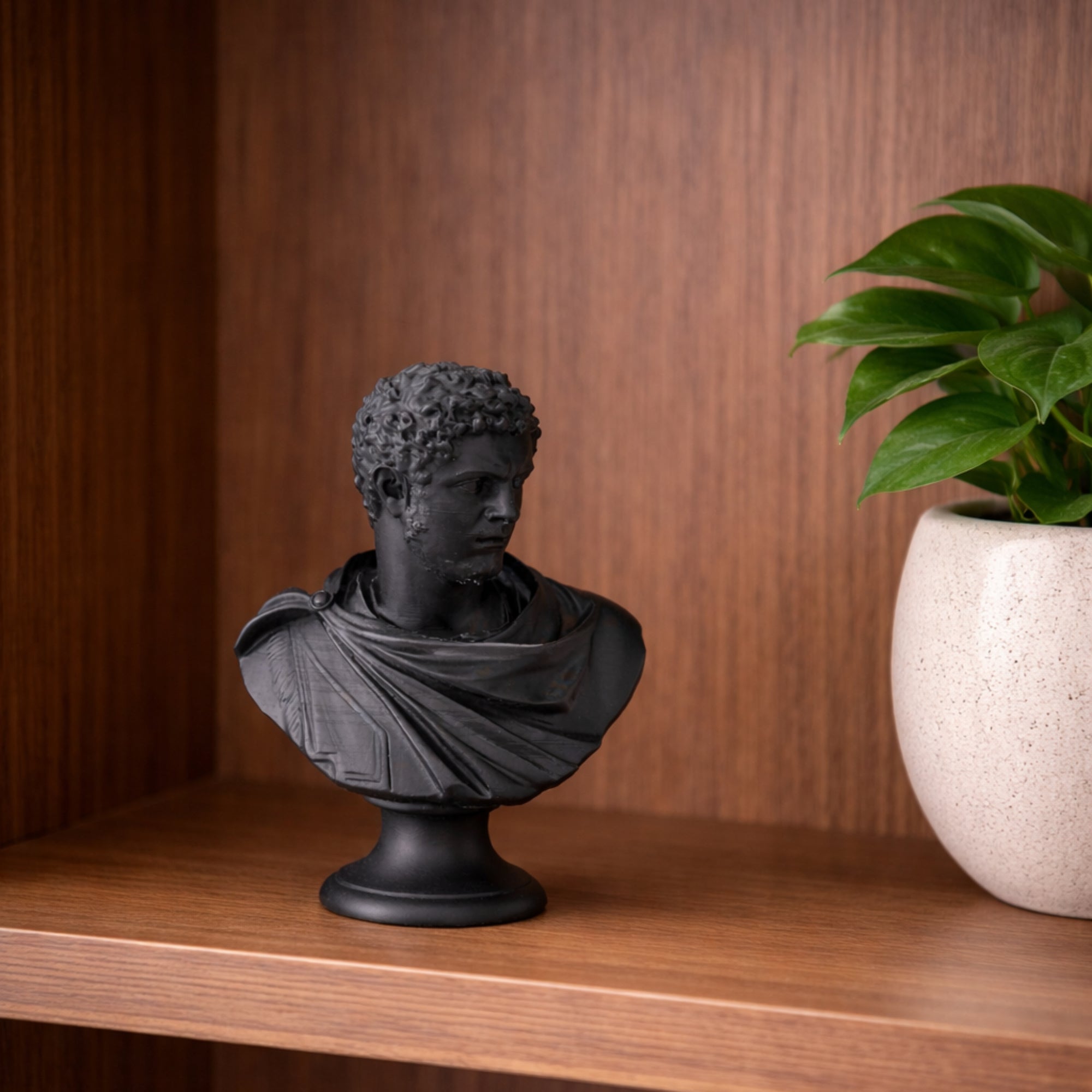 Buste 3D de Caracalla