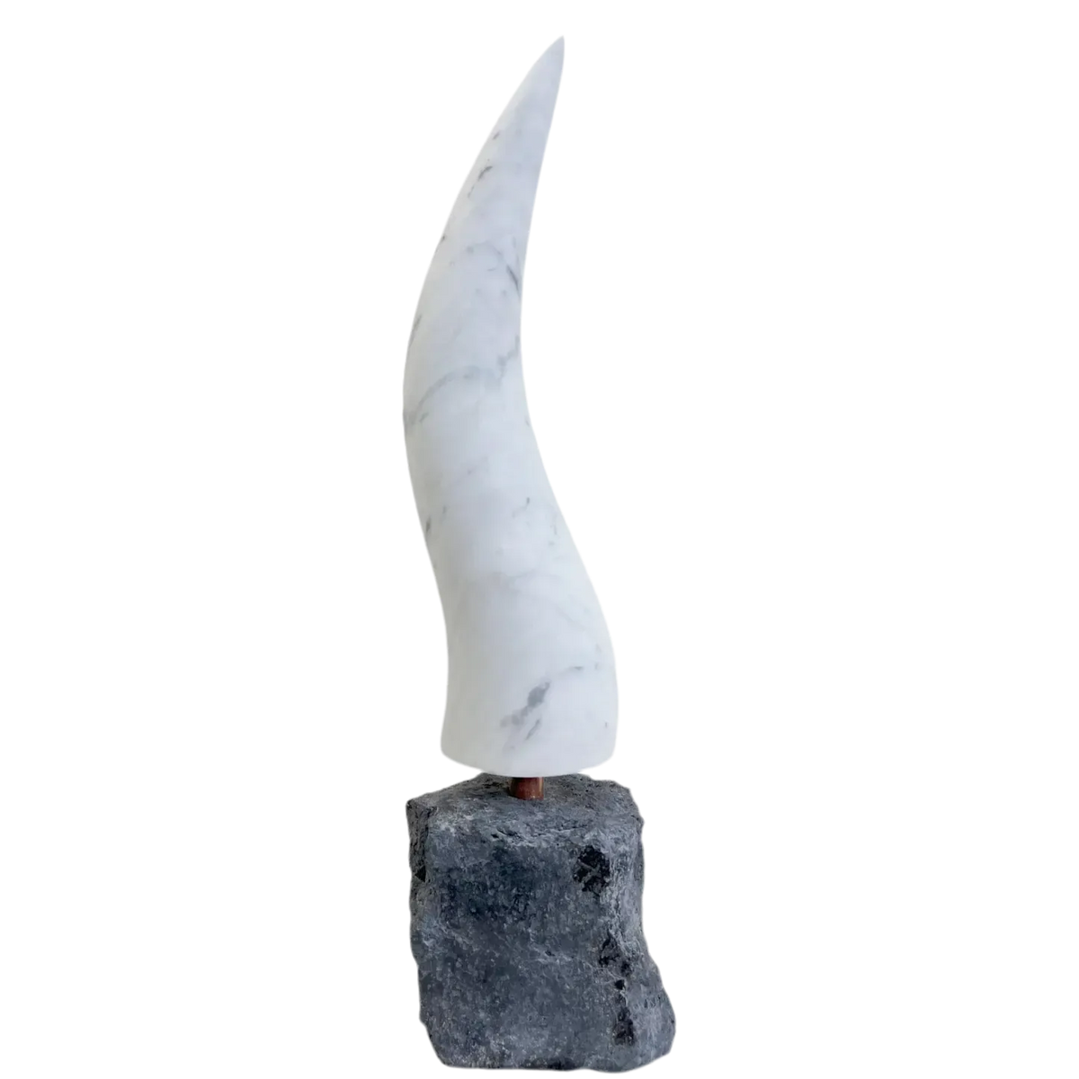 Descrizione immagine