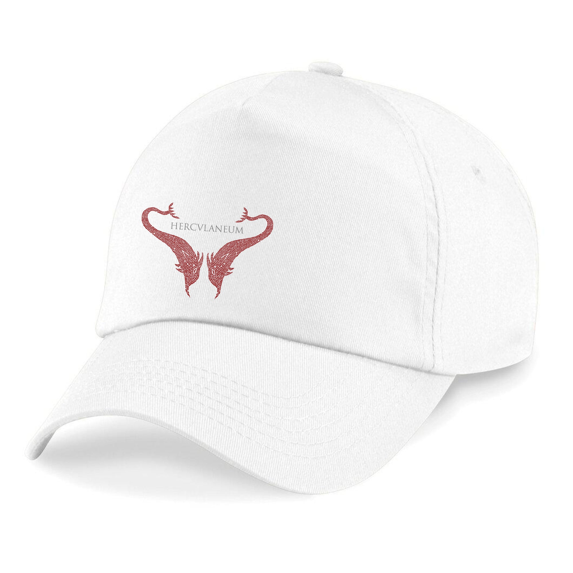 Cappello ispirato alla Casa dei Delfini