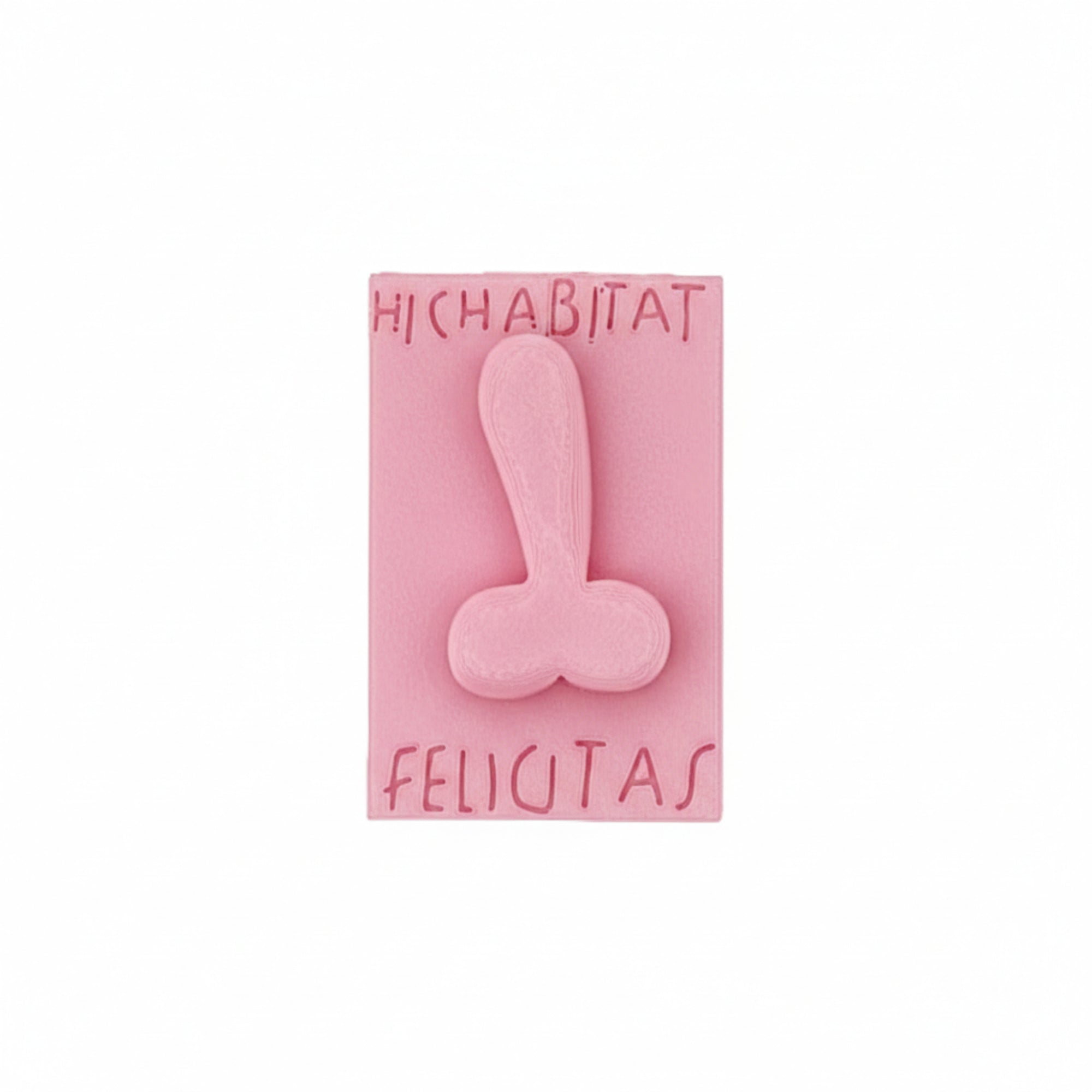 3D printing - 'Hic Habitat Felicitas' Pompeii - Magnet Museum Shop Italy 3D printing - 'Hic Habitat Felicitas' Pompeii - Magnet Museum Shop Italy