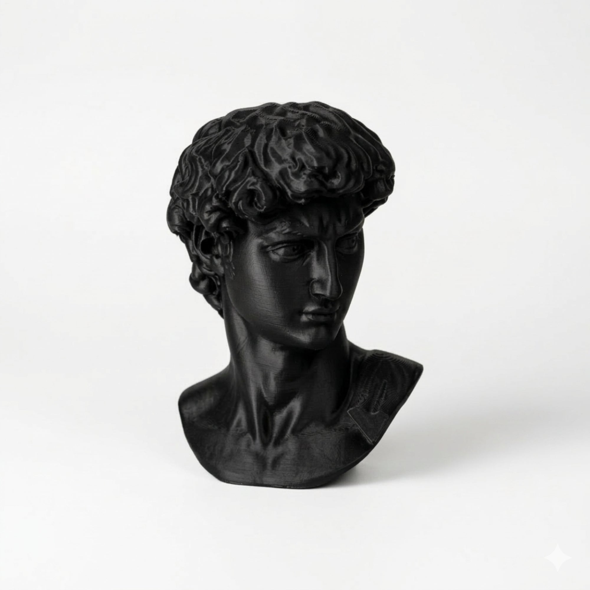 Testa di Davide - Riproduzione 3D