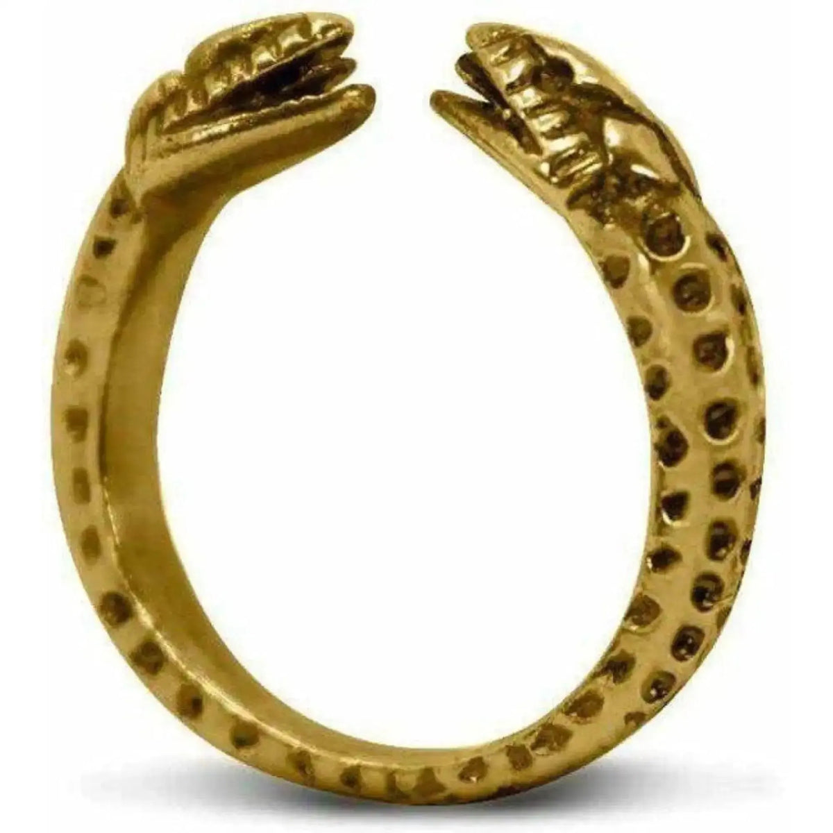 Silver ring with two-headed snake