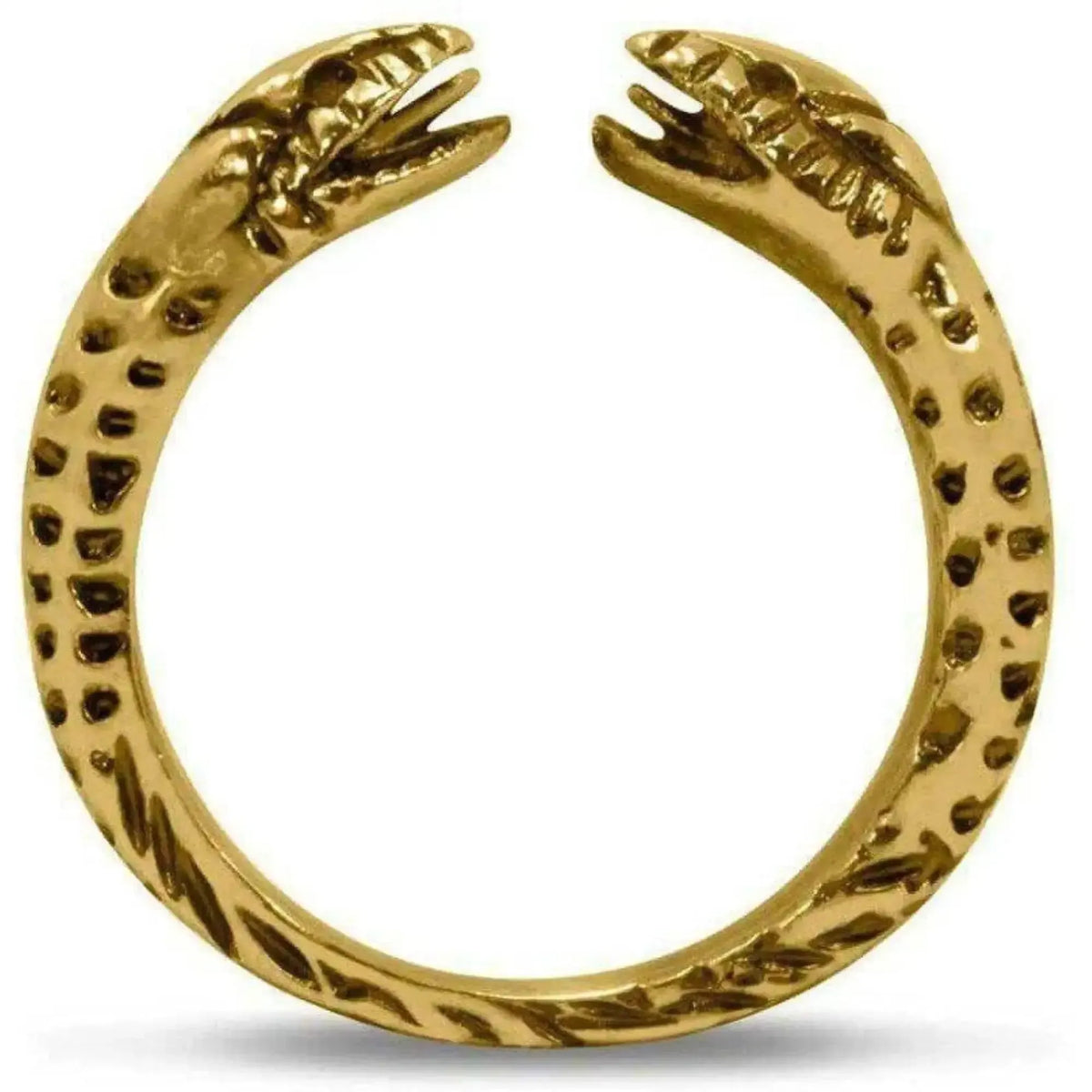 Silver ring with two-headed snake