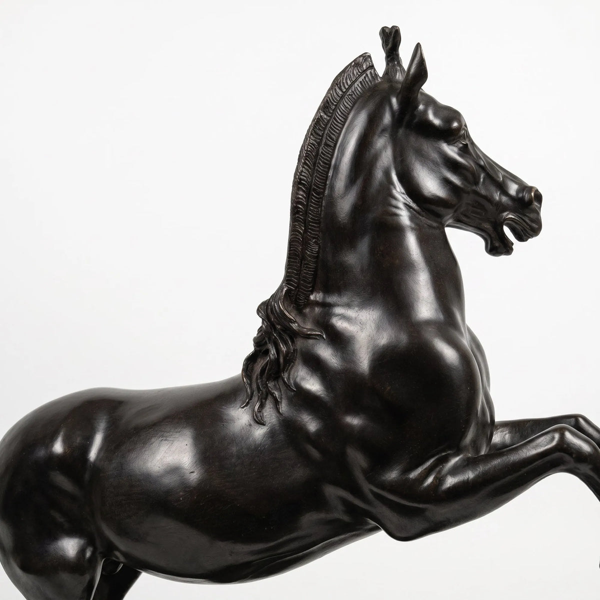 Dettaglio della testa, della criniera e della muscolatura della scultura di Bucefalo in bronzo.