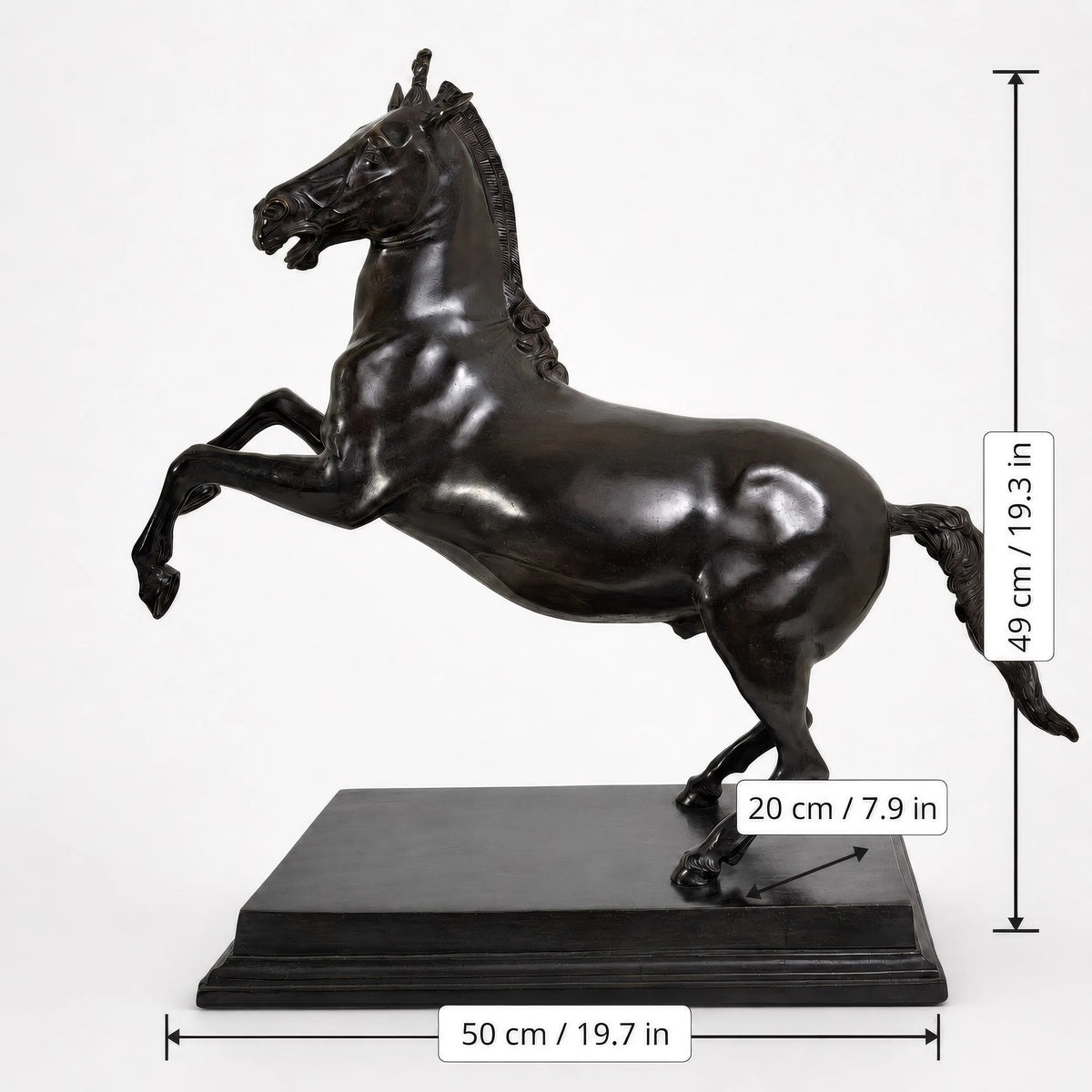 Scultura di Bucefalo in bronzo con quote: larghezza 50 cm, altezza 49 cm e profondità 20 cm.