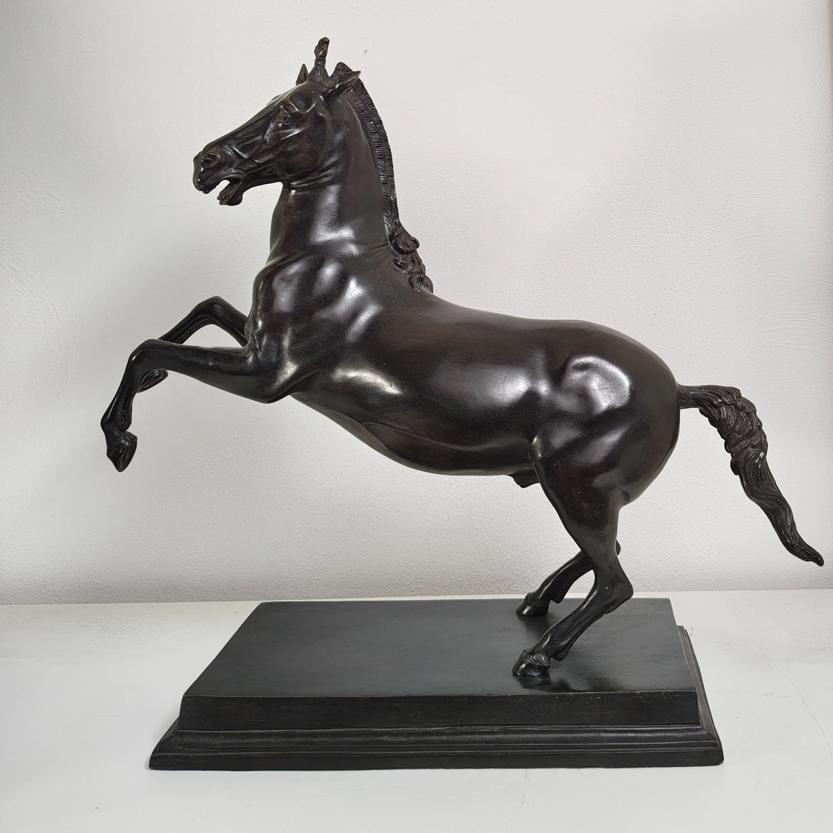 Scultura di Bucefalo in bronzo, con testa rivolta a sinistra, su base rettangolare davanti a una parete chiara.