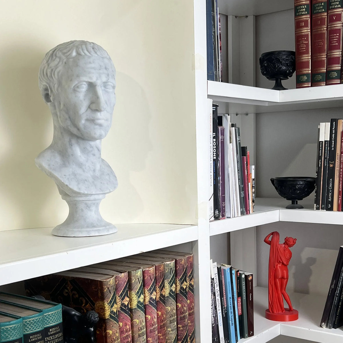 Busto di Giulio Cesare in marmo bianco di Carrara,  vista a tre quarti in una libreria.
