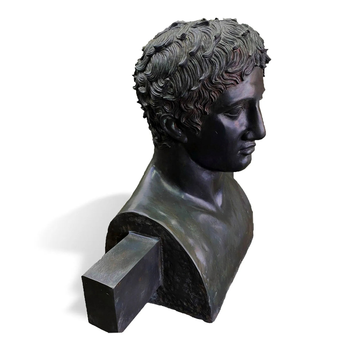 Riproduzione del busto in bronzo Erma di Doriforo in patina nera, vista laterale su fondo bianco. 