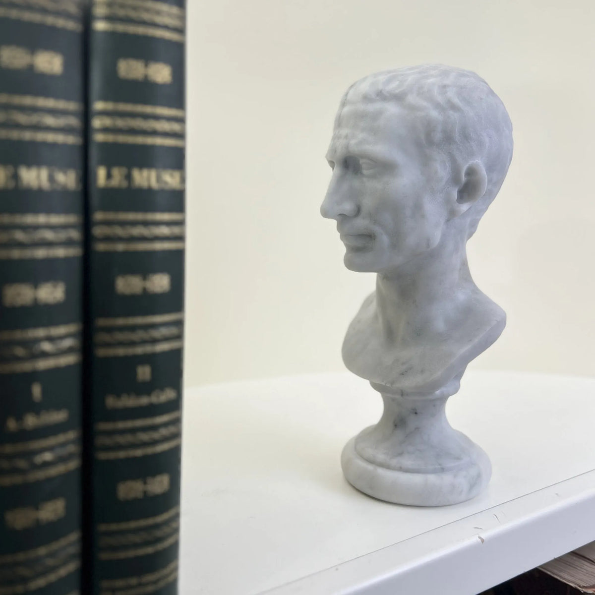 Busto di Giulio Cesare in marmo bianco di Carrara, vista laterale in una libreria.