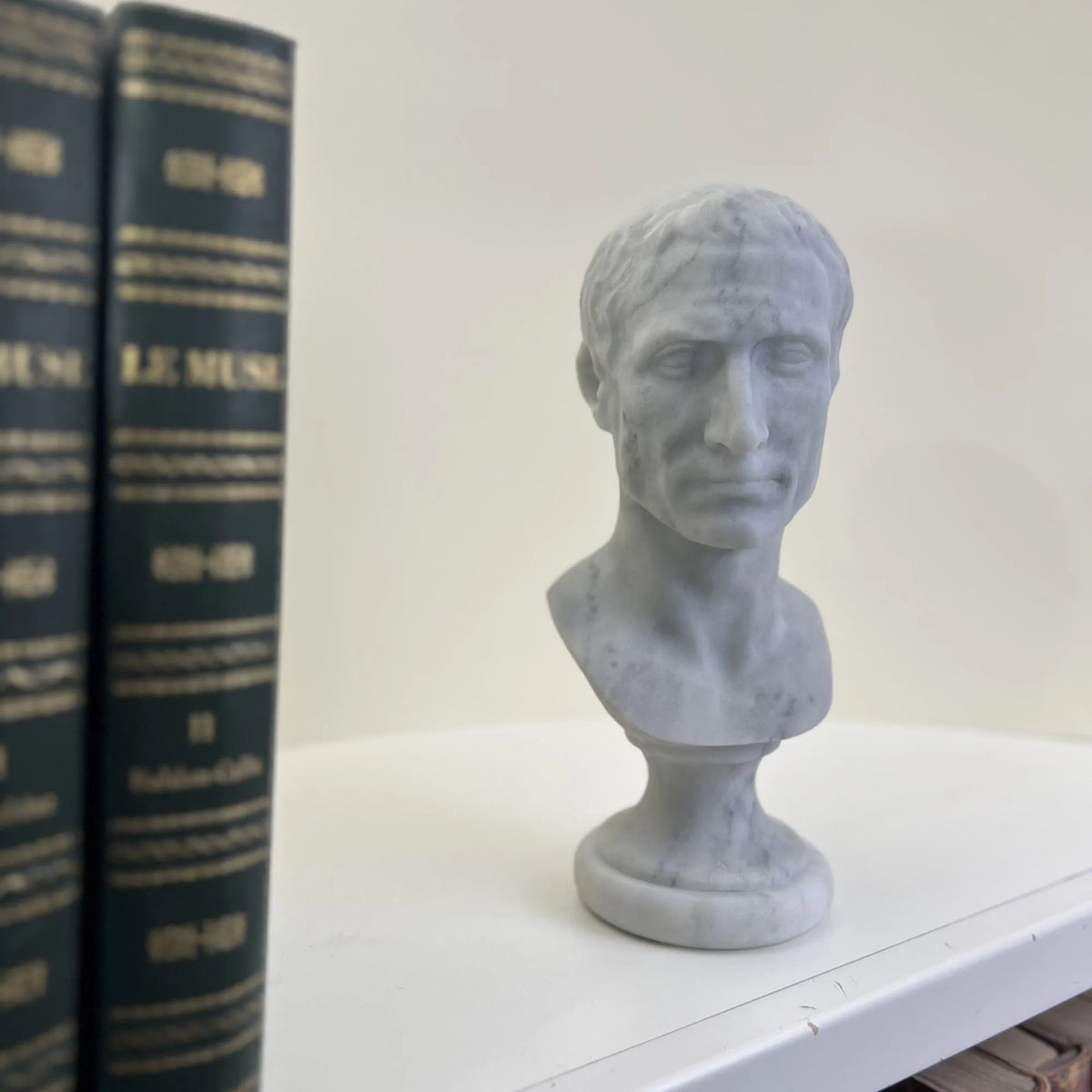 Busto di Giulio Cesare in marmo bianco di Carrara, vista a tre quarti in una libreria.