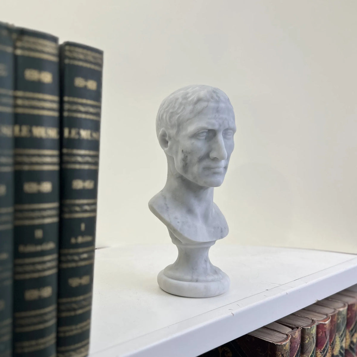 Busto di Giulio Cesare in marmo bianco di Carrara, vista a tre quarti in una libreria.