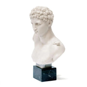 Dettagli scultorei del busto in marmo di Hermes.