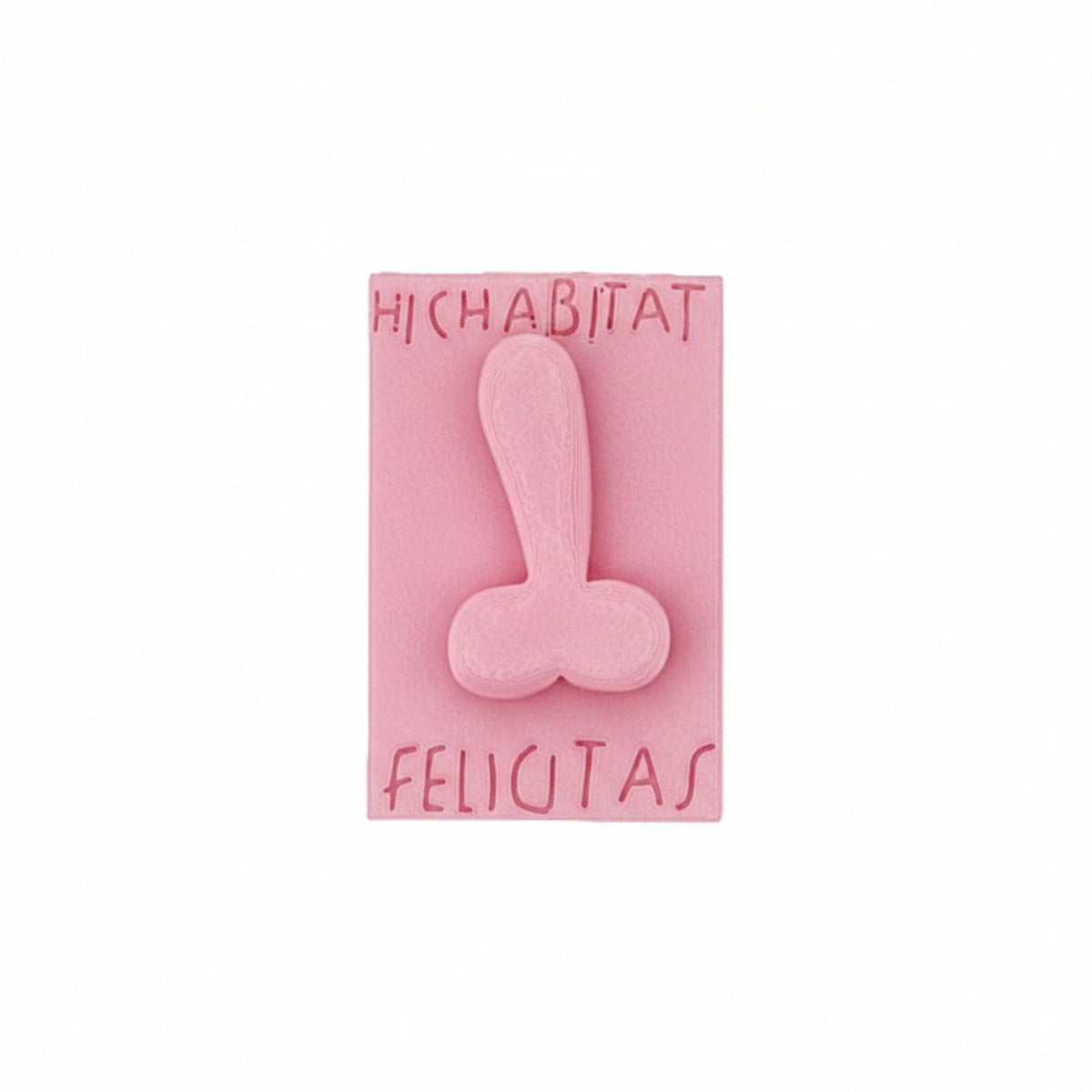 Calamita Hic Habitat Felicitas in PLA rosa seta, con simbolo fallico in rilievo e iscrizione, su fondo bianco.