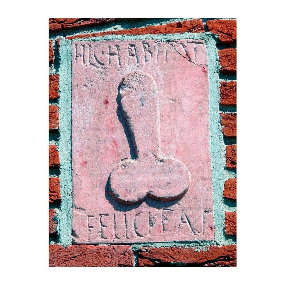 Stampa 3D di Pompei - Aquí Habitat Felicidad, calamidad