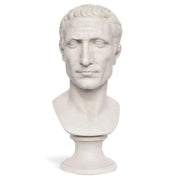Vista ravvicinata di un busto in marmo di Giulio Cesare, con focus sui dettagli intagliati dei capelli e delle texture facciali.