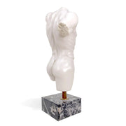 Riproduzione d'arte classica del busto di Perseo in marmo.