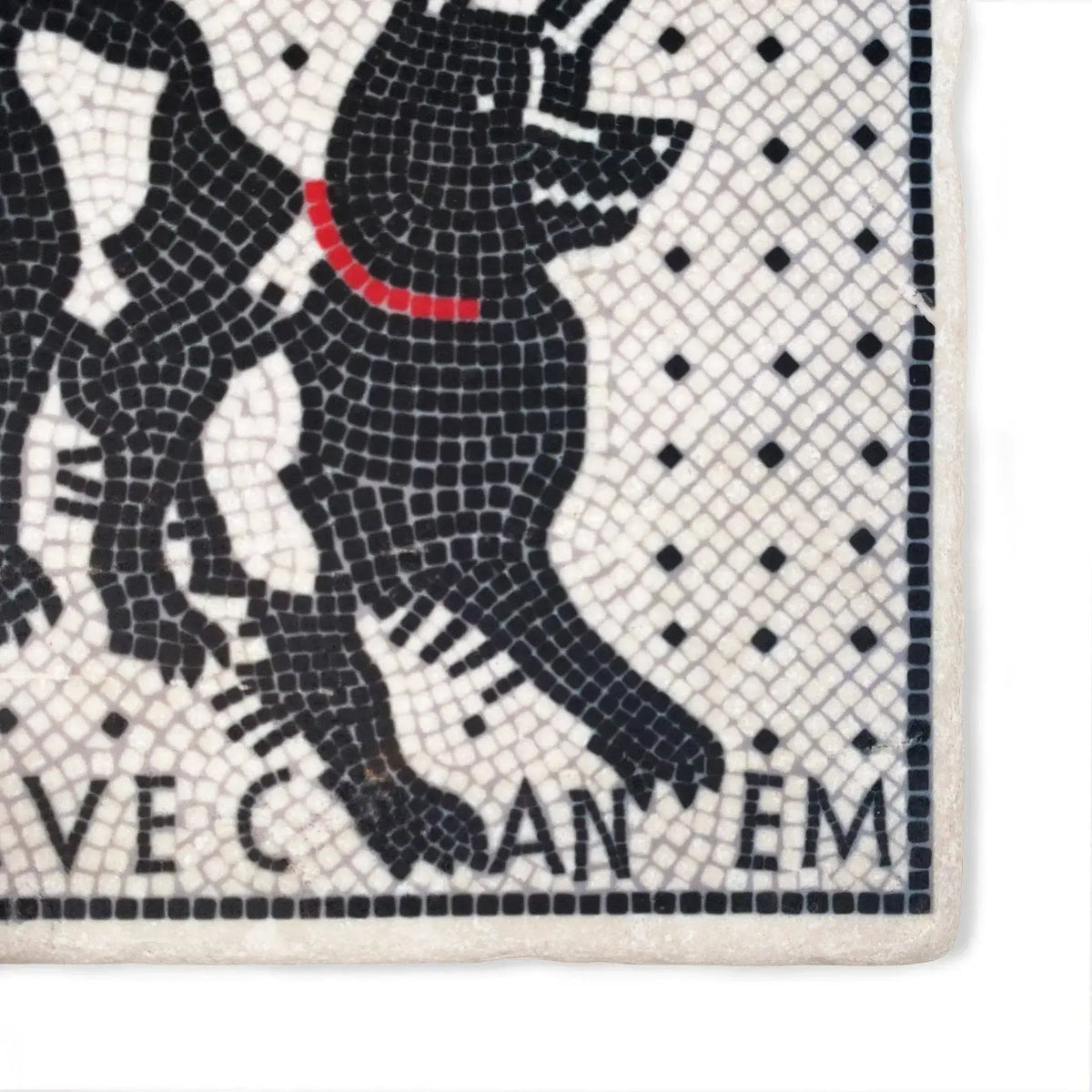 Dettaglio del cane e della scritta Cave Canem sulla piastrella in marmo Botticino