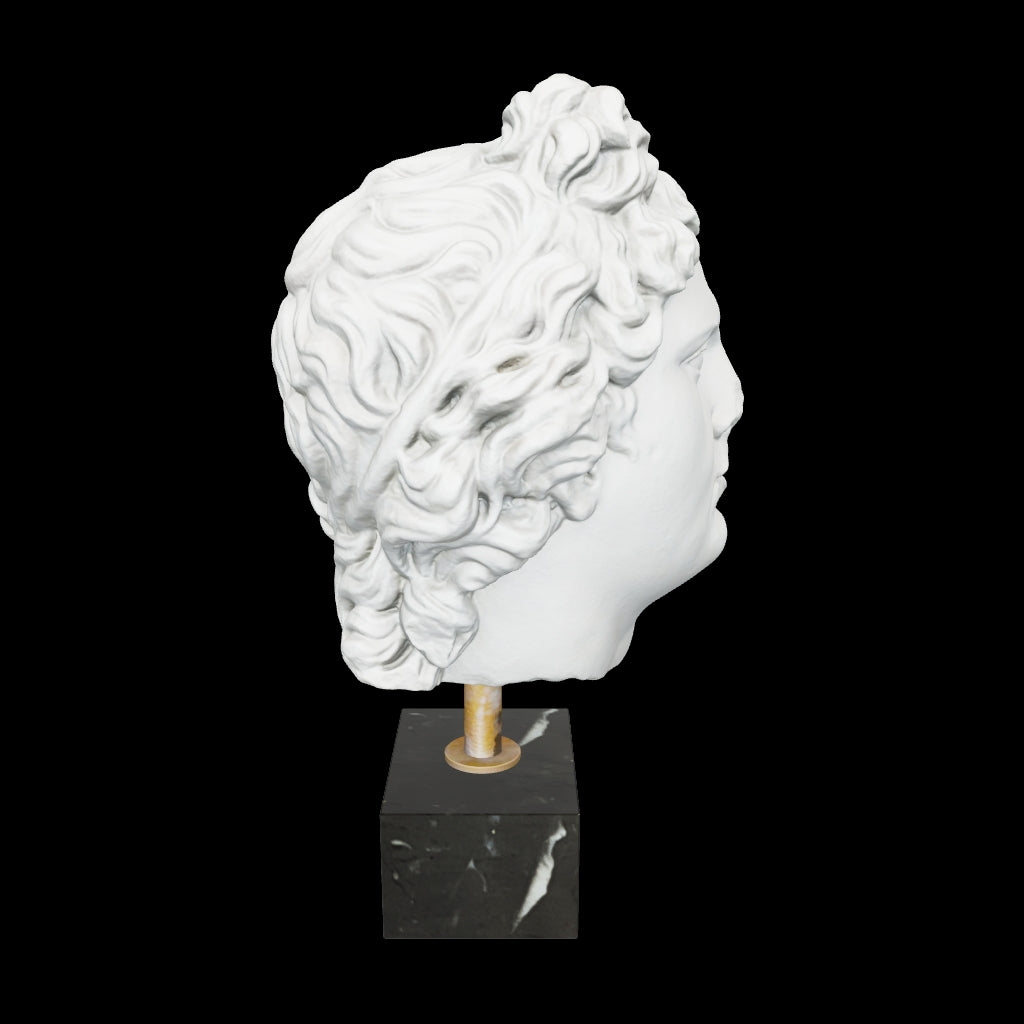 アルテミデの大理石の頭部像 – Museum Shop Italy