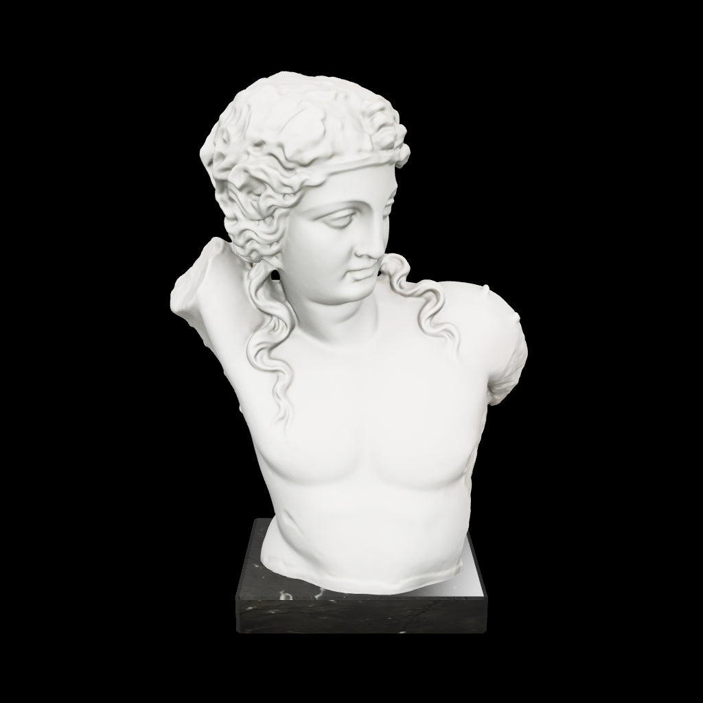 Modello 3D della Statua in marmo del Torso di Dionisio