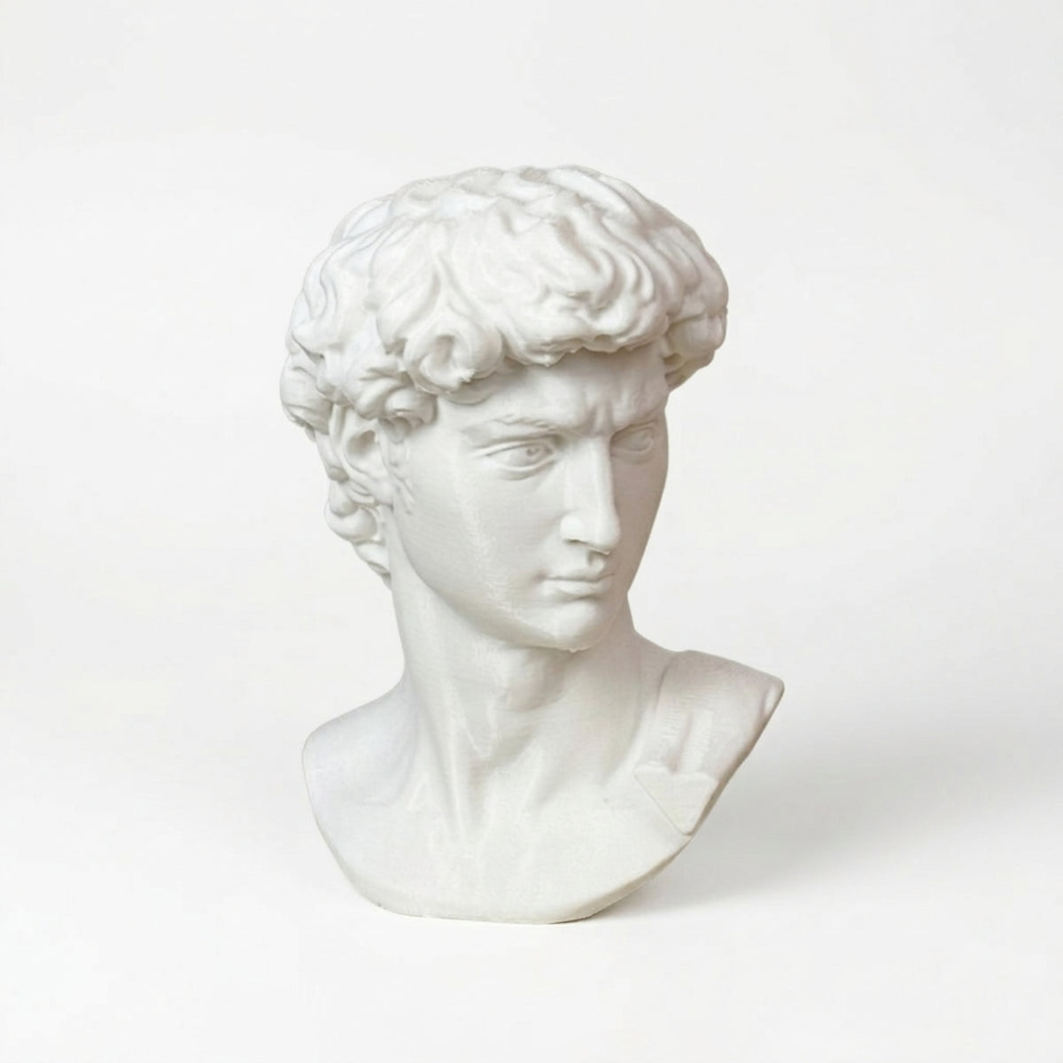 David - 3D Head Reproduction
