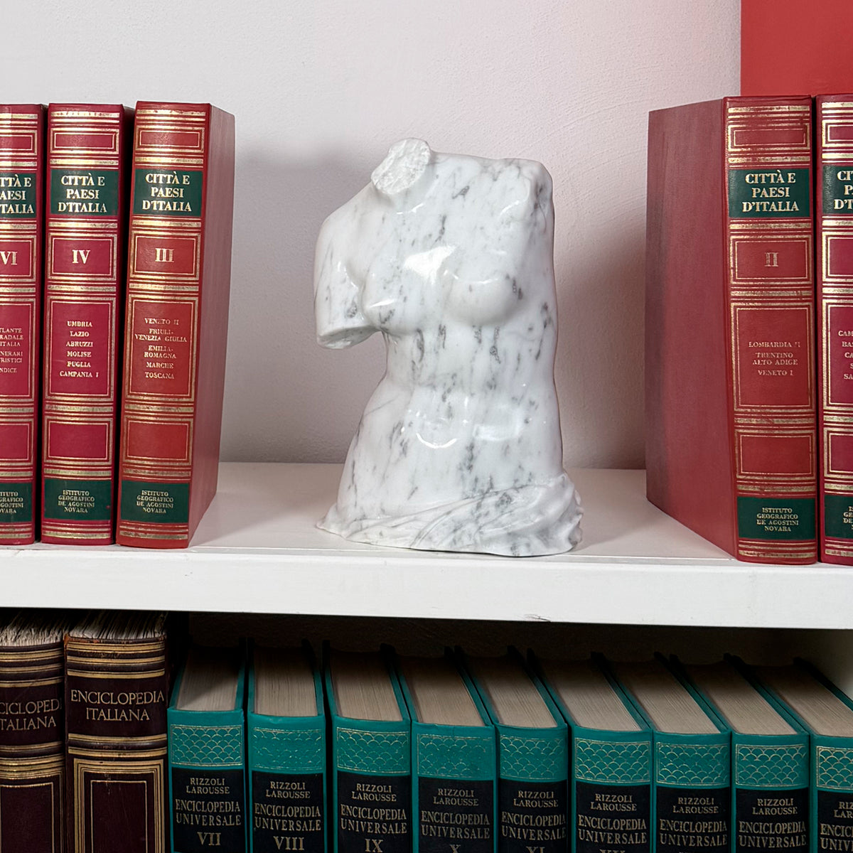 Vista frontale del busto della Venere di Milo in marmo di Carrara in una libreria.