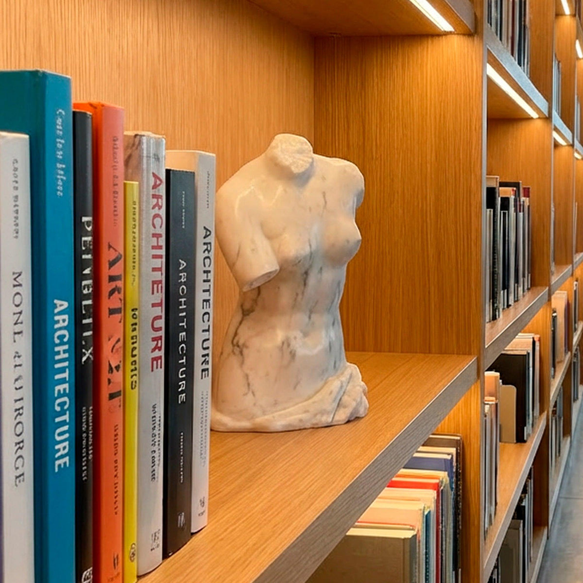Vista a tre quarti del busto della Venere di Milo in marmo di Carrara in una libreria.