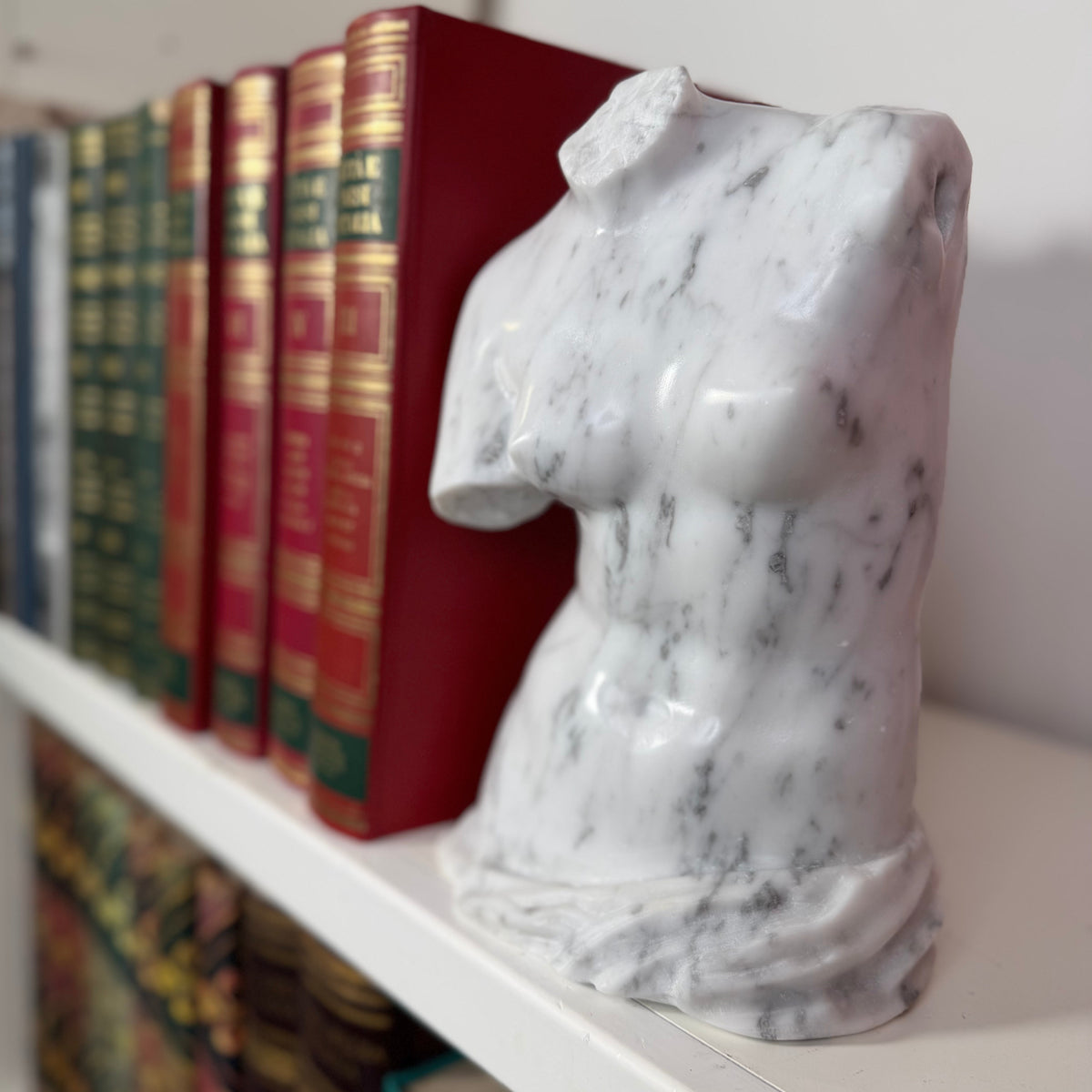 Vista a tre quarti del busto della Venere di Milo in marmo di Carrara in una libreria.