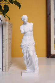 Venus de Milo 3D Printed white large
