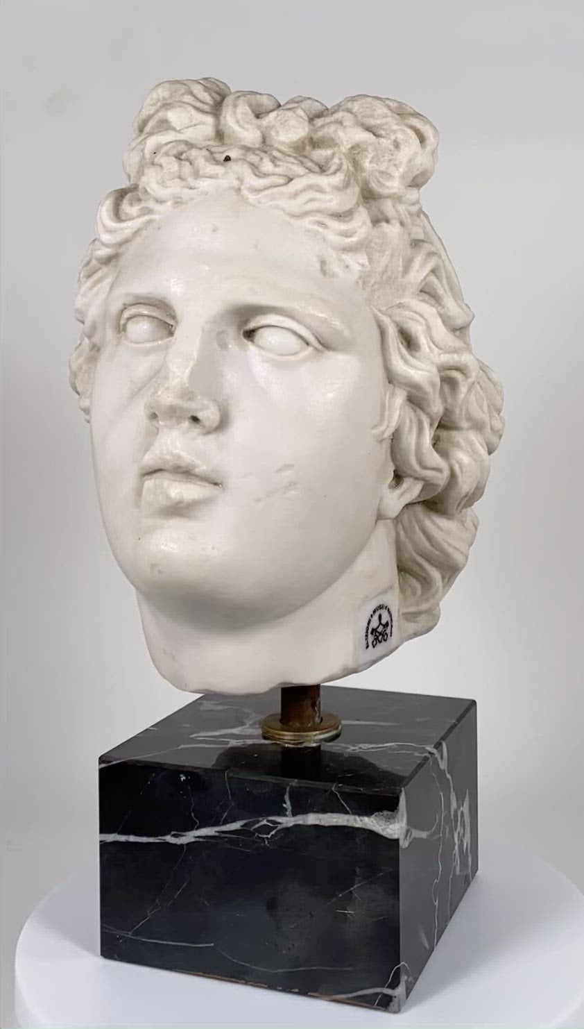 アルテミデの大理石の頭部像 – Museum Shop Italy