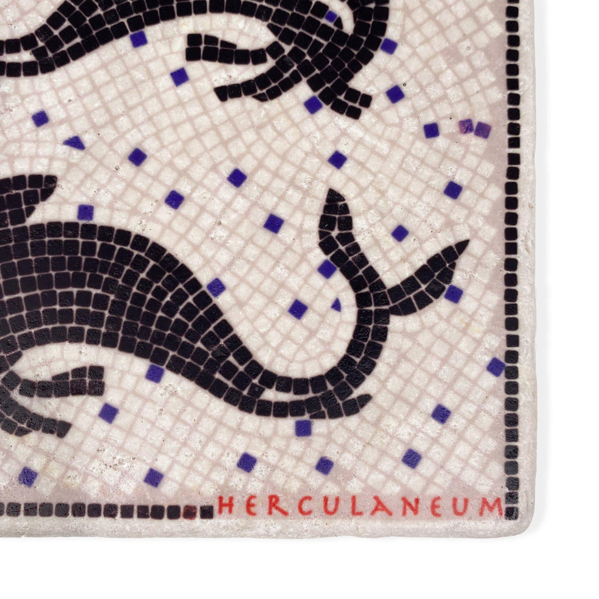 Hercolaneum Botticino Marble Tile