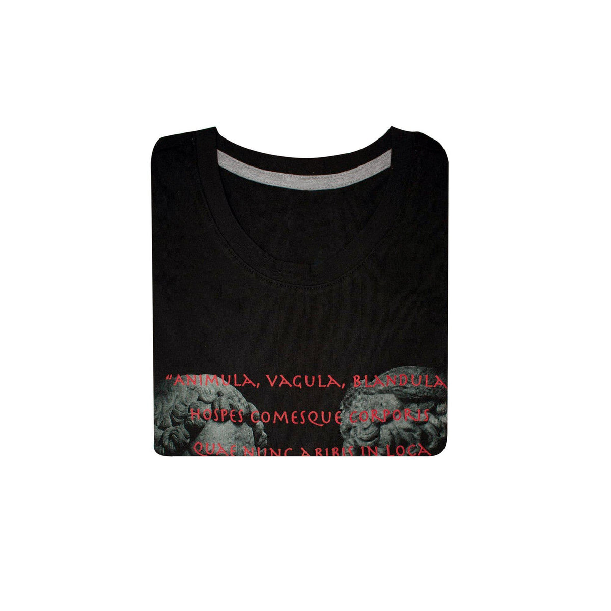 T-shirt Homme en Coton Hadrianus & Antinous