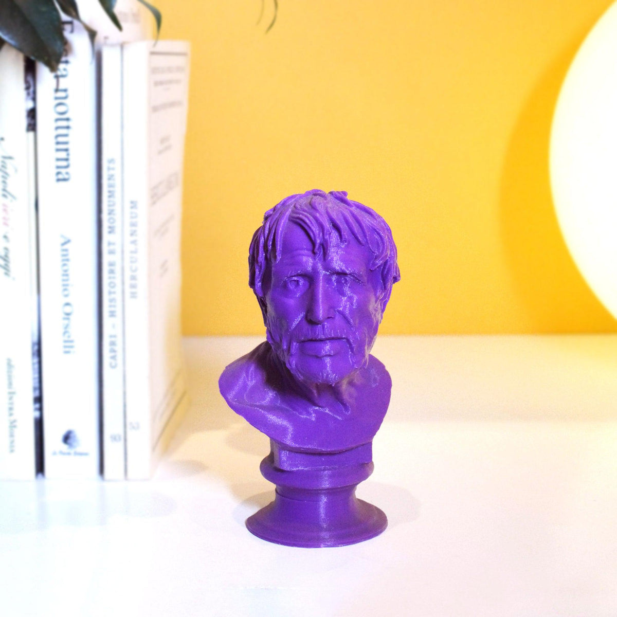 Seneca Head 13 cm - 3D Print